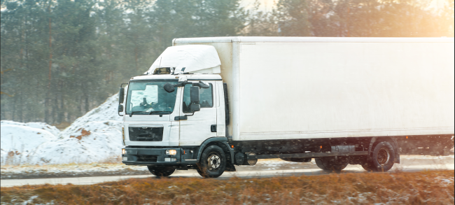 Logistics & Cargo Transportation