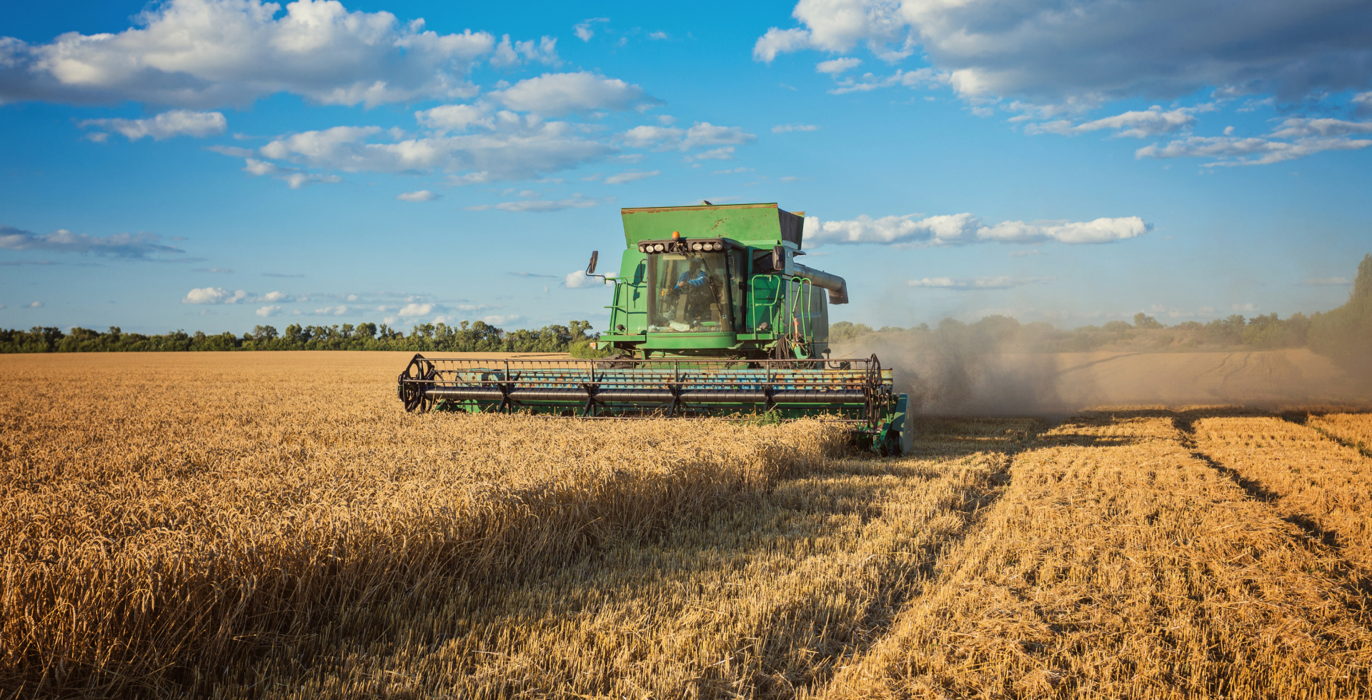 Monitoring the depth of sowing and tillage using Escort DGV-200 proximity sensor