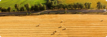 Agriculture & Farming