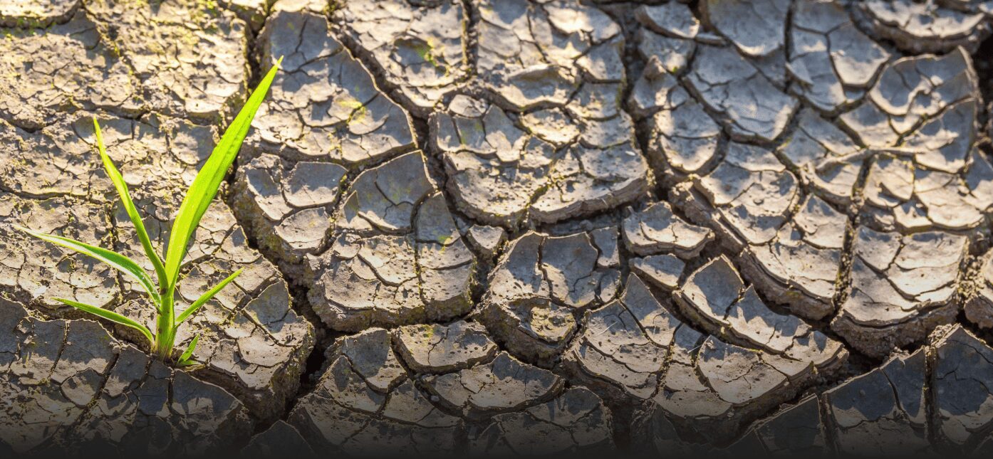 Confirmation of hazardous phenomena