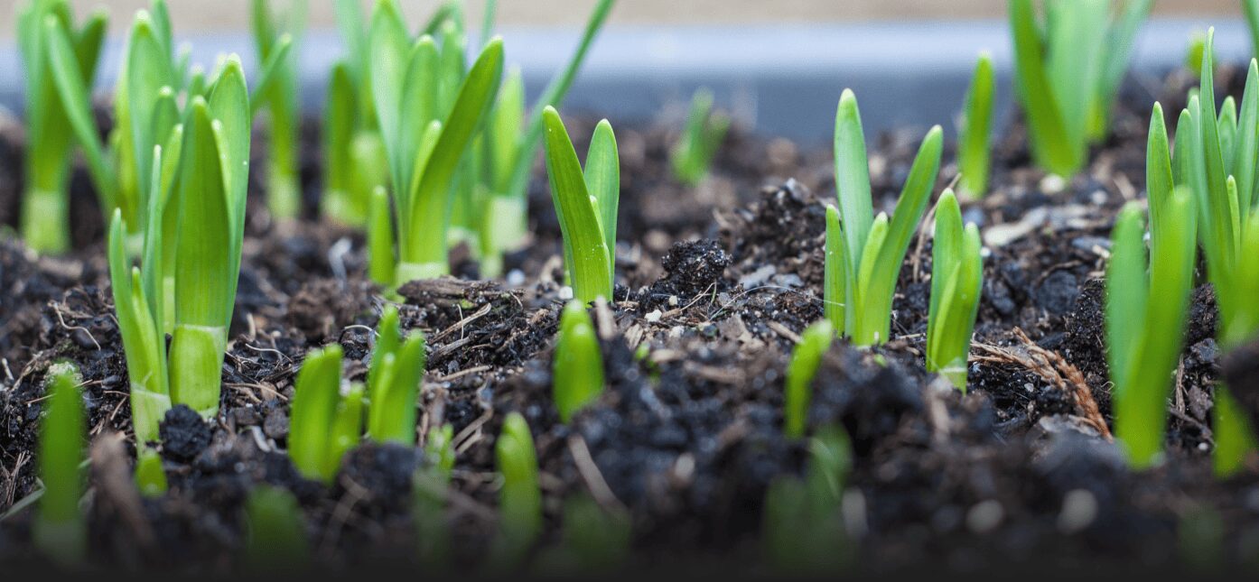 Accurate information about soil temperature and humidity