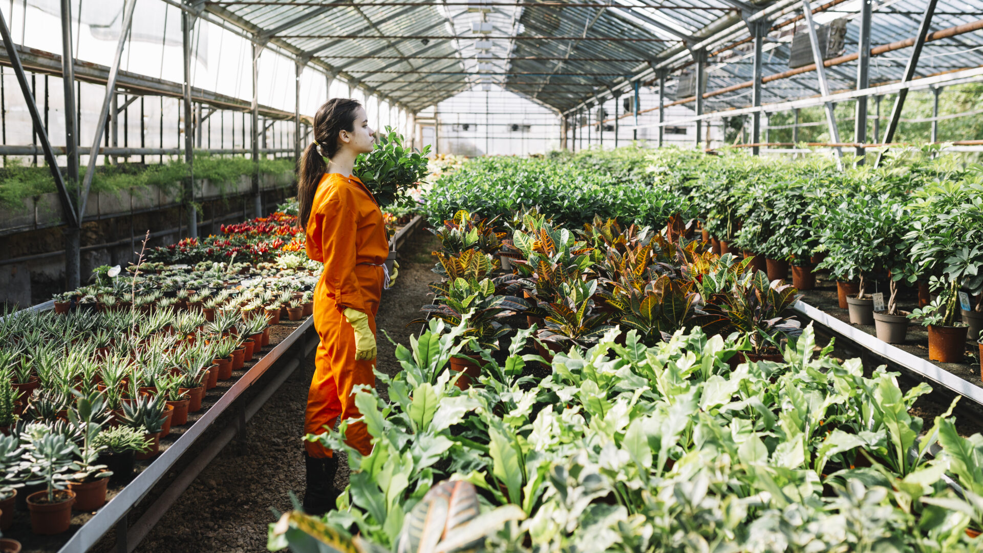 https://escortsensors.com/wp-content/uploads/2026/03/female-gardener-standing-near-plants-growing-greenhouse.jpg