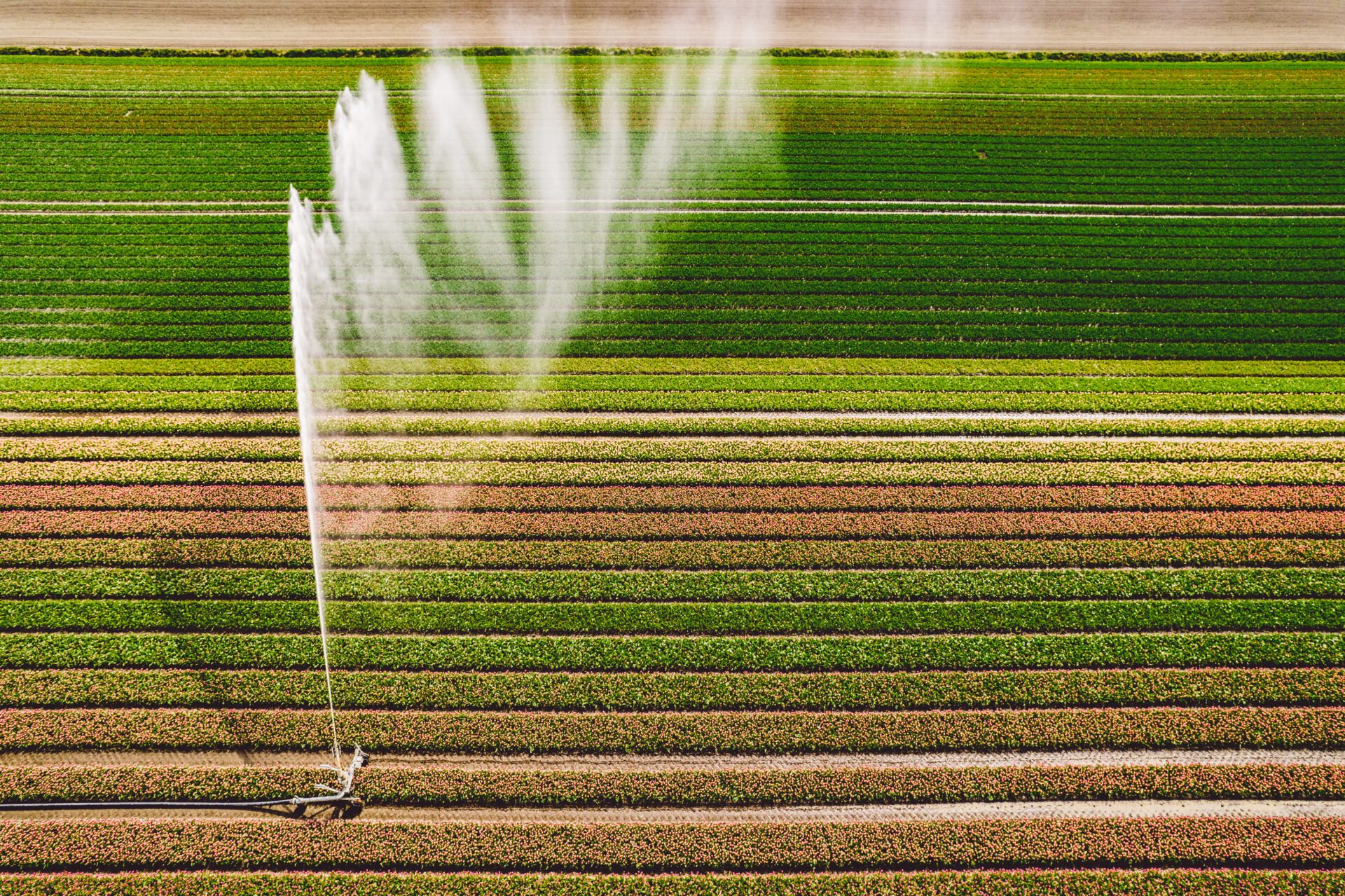 https://escortsensors.com/wp-content/uploads/2026/03/scenic-view-corn-field.jpg