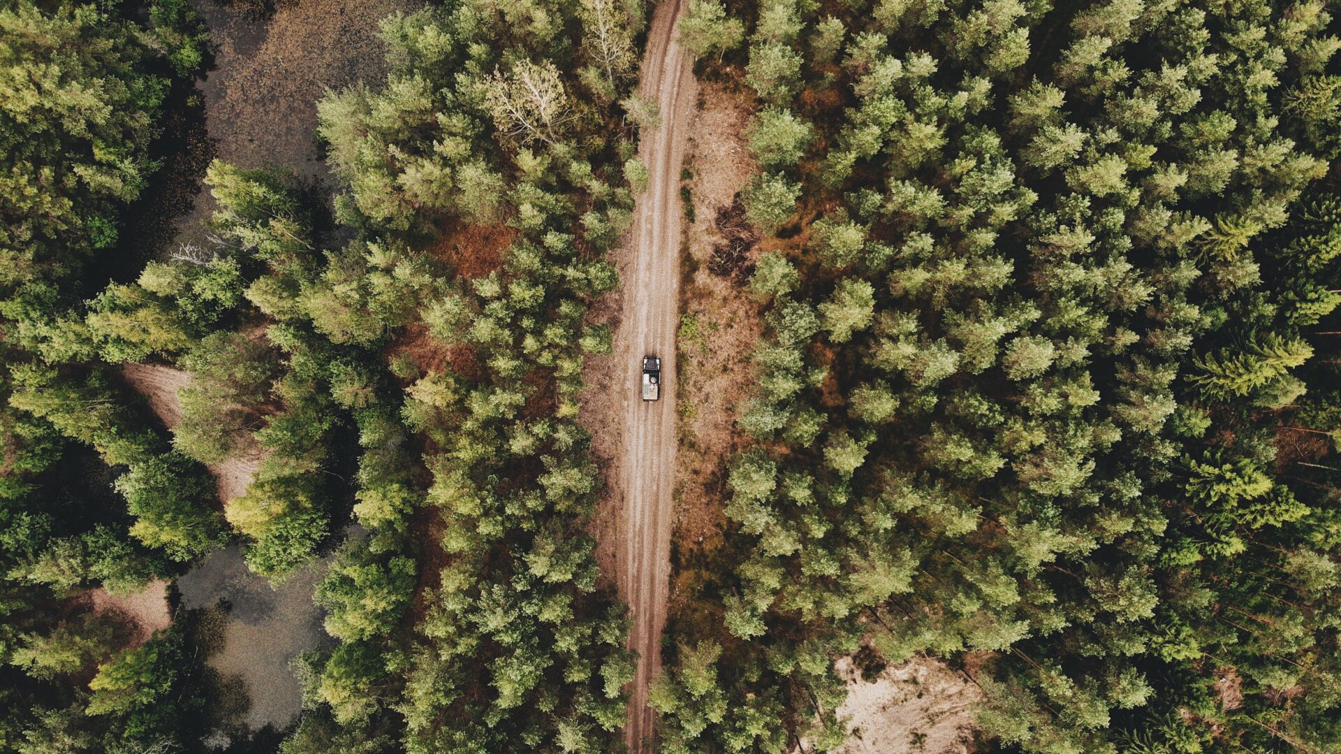 An aerial shot of a car driving on a pathway in the middle of a green forest